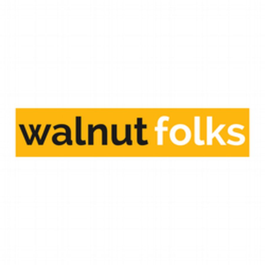Scriptwriting Associate at Walnut Folks, Bengaluru/Bangalore